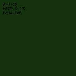 #14310D - Palm Leaf Color Image