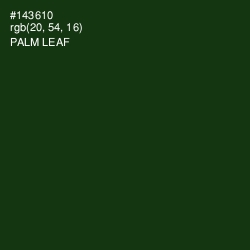 #143610 - Palm Leaf Color Image