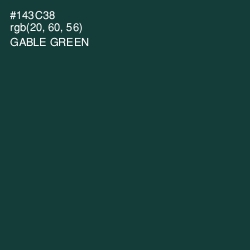 #143C38 - Gable Green Color Image