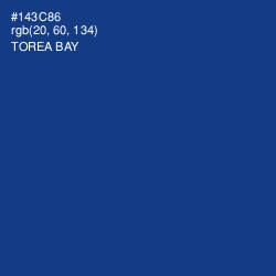 #143C86 - Torea Bay Color Image