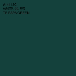 #14413C - Te Papa Green Color Image