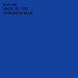 #14419E - Congress Blue Color Image