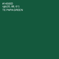 #14583D - Te Papa Green Color Image