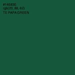 #14583E - Te Papa Green Color Image