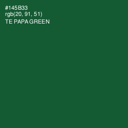 #145B33 - Te Papa Green Color Image