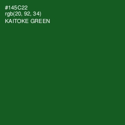 #145C22 - Kaitoke Green Color Image