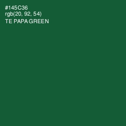 #145C36 - Te Papa Green Color Image