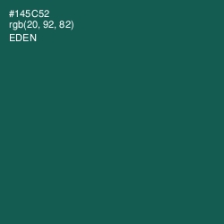 #145C52 - Eden Color Image