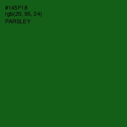 #145F18 - Parsley Color Image