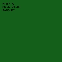 #145F1A - Parsley Color Image