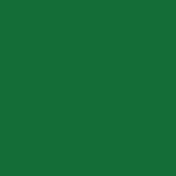 #146C37 - Fun Green Color Image