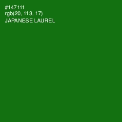 #147111 - Japanese Laurel Color Image