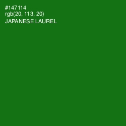 #147114 - Japanese Laurel Color Image