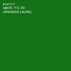 #147117 - Japanese Laurel Color Image