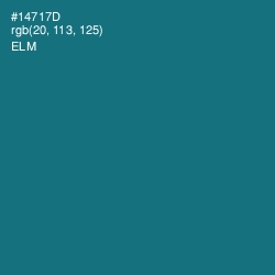 #14717D - Elm Color Image