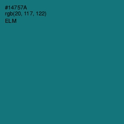 #14757A - Elm Color Image