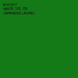 #147A17 - Japanese Laurel Color Image