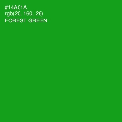 #14A01A - Forest Green Color Image