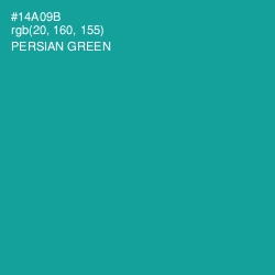 #14A09B - Persian Green Color Image