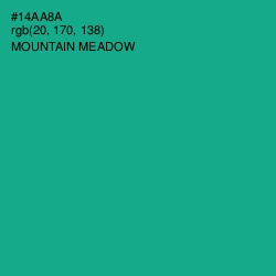 #14AA8A - Mountain Meadow Color Image