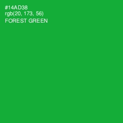 #14AD38 - Forest Green Color Image