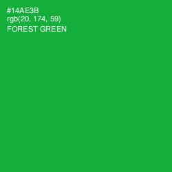 #14AE3B - Forest Green Color Image