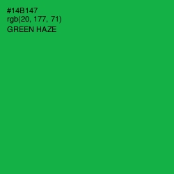 #14B147 - Green Haze Color Image