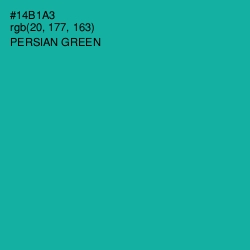 #14B1A3 - Persian Green Color Image