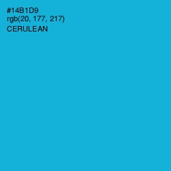 #14B1D9 - Cerulean Color Image