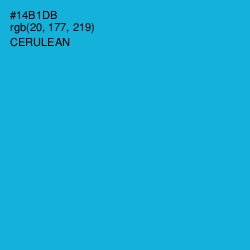 #14B1DB - Cerulean Color Image
