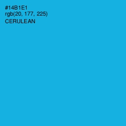 #14B1E1 - Cerulean Color Image