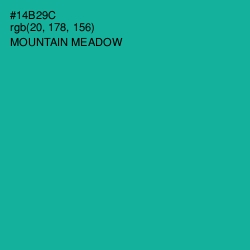 #14B29C - Mountain Meadow Color Image