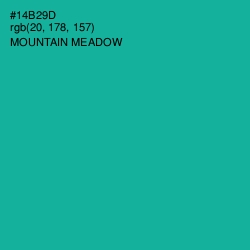 #14B29D - Mountain Meadow Color Image