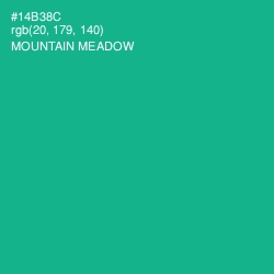 #14B38C - Mountain Meadow Color Image
