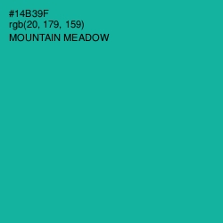 #14B39F - Mountain Meadow Color Image