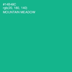 #14B48C - Mountain Meadow Color Image