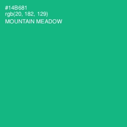 #14B681 - Mountain Meadow Color Image