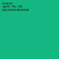 #14B781 - Mountain Meadow Color Image