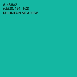 #14B8A2 - Mountain Meadow Color Image