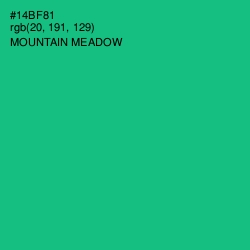 #14BF81 - Mountain Meadow Color Image