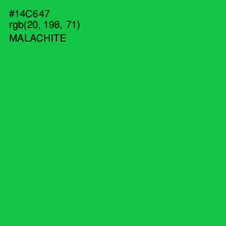 #14C647 - Malachite Color Image