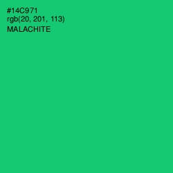 #14C971 - Malachite Color Image