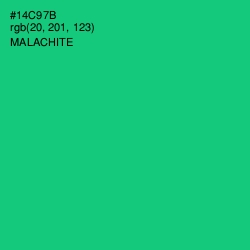 #14C97B - Malachite Color Image