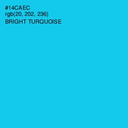 #14CAEC - Bright Turquoise Color Image