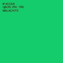 #14CC6A - Malachite Color Image