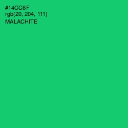 #14CC6F - Malachite Color Image