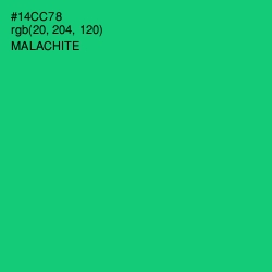 #14CC78 - Malachite Color Image