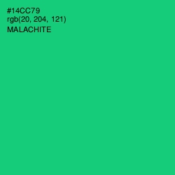 #14CC79 - Malachite Color Image