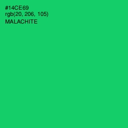 #14CE69 - Malachite Color Image