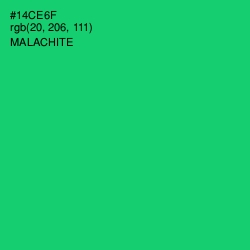 #14CE6F - Malachite Color Image